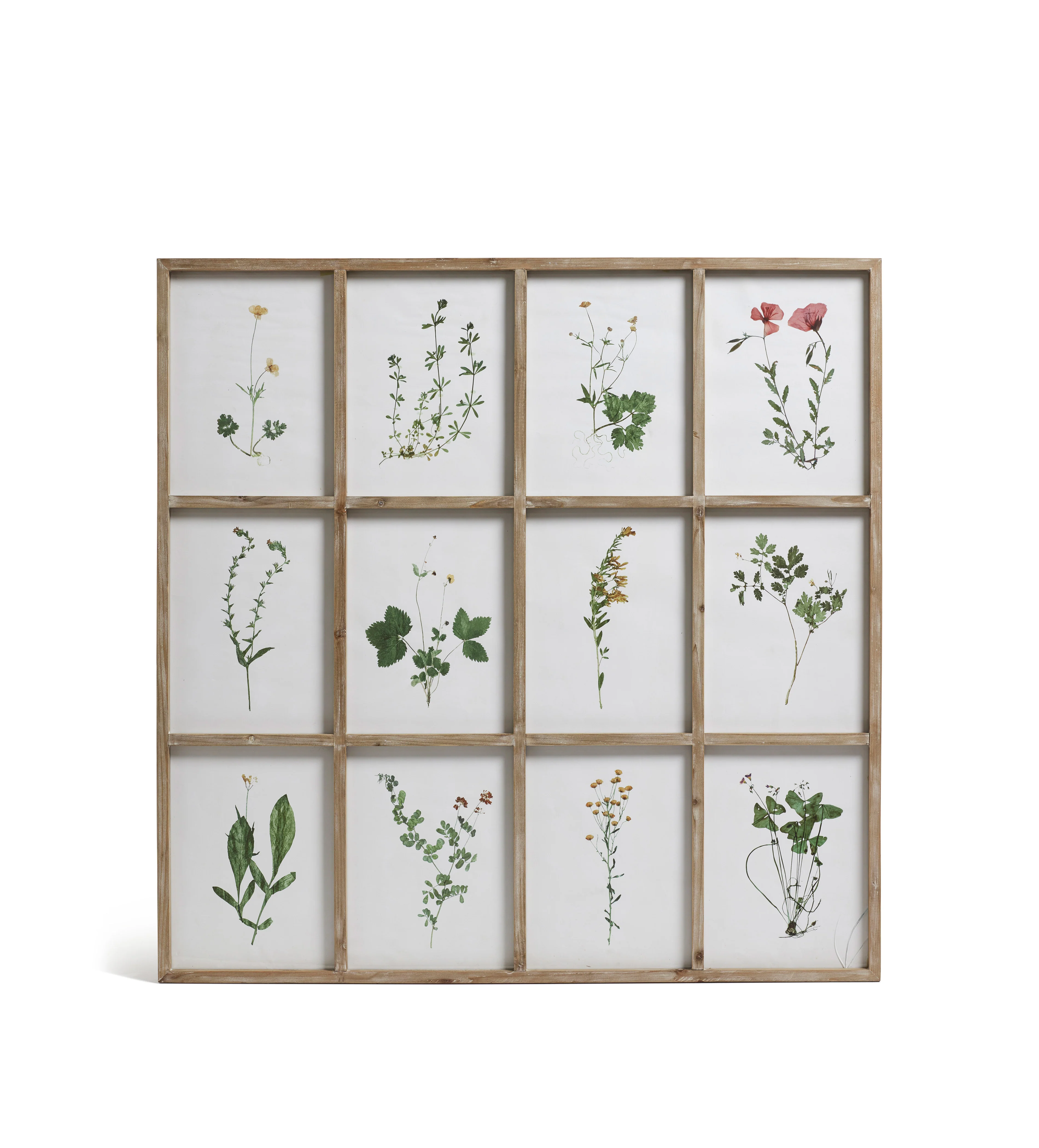 Frame of Pressed Flower Prints – Natural