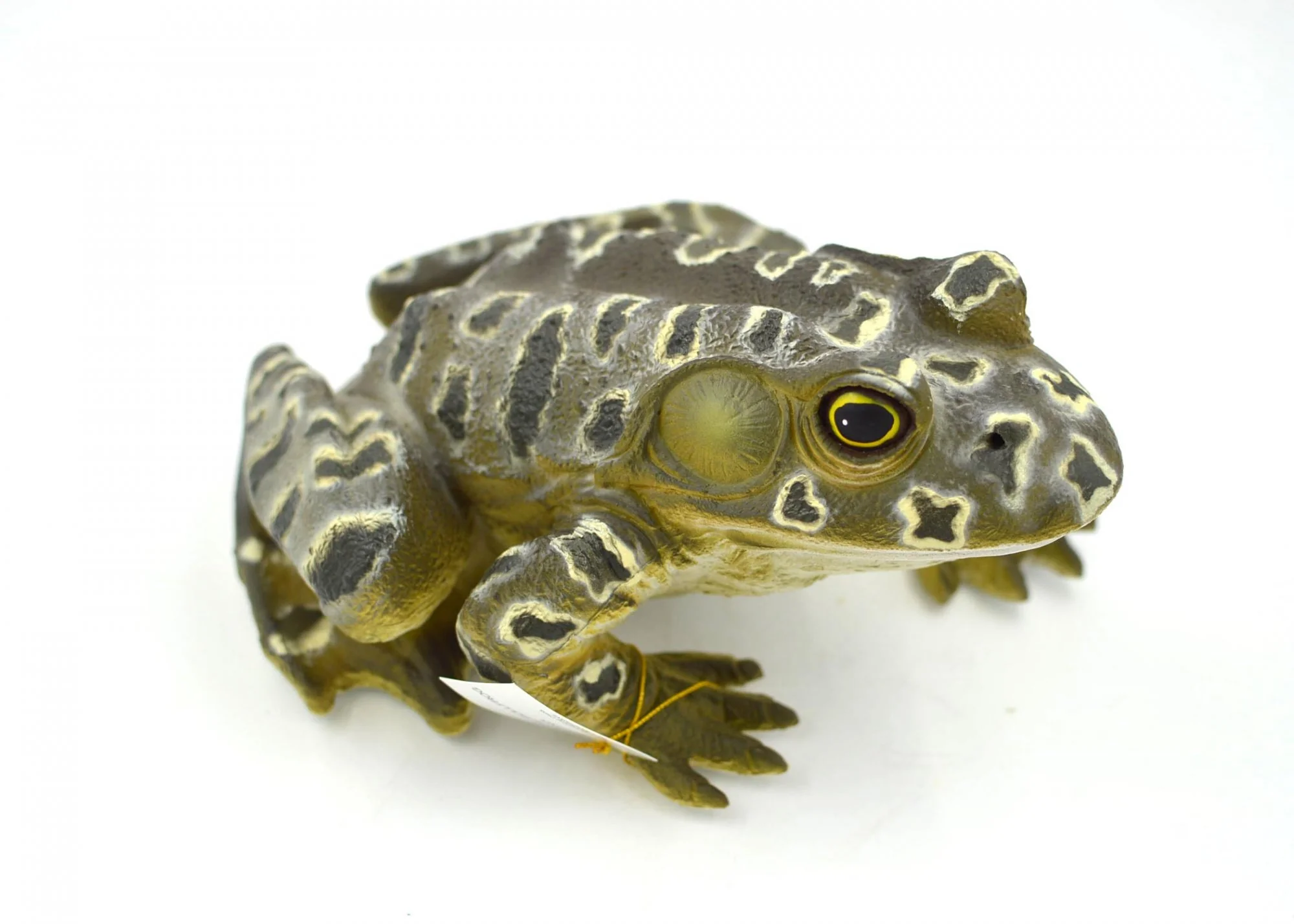 Mamejo Nature 9″ Large Grunting Bullfrog Toy