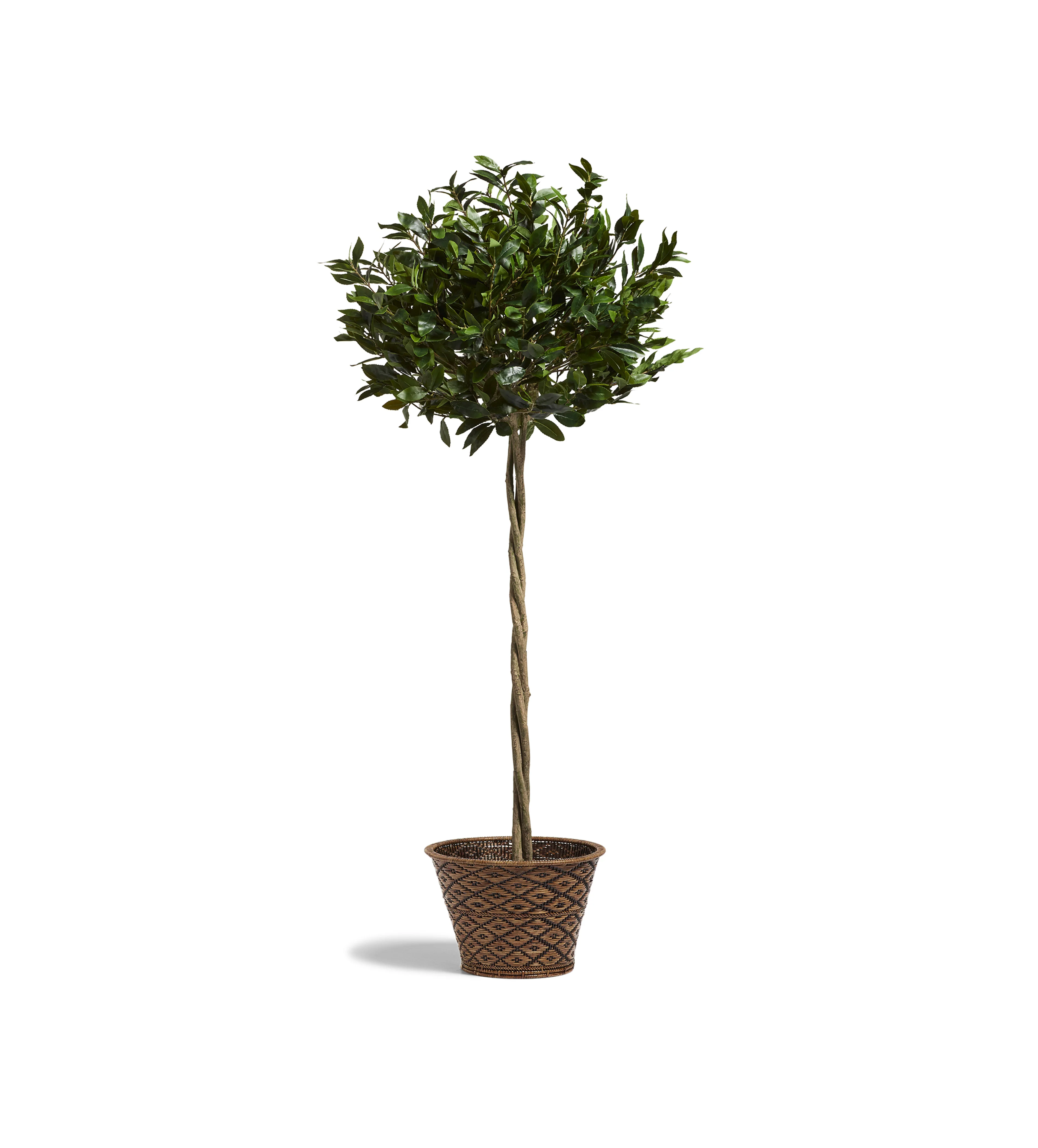 Faux Bay Tree – Large – Green