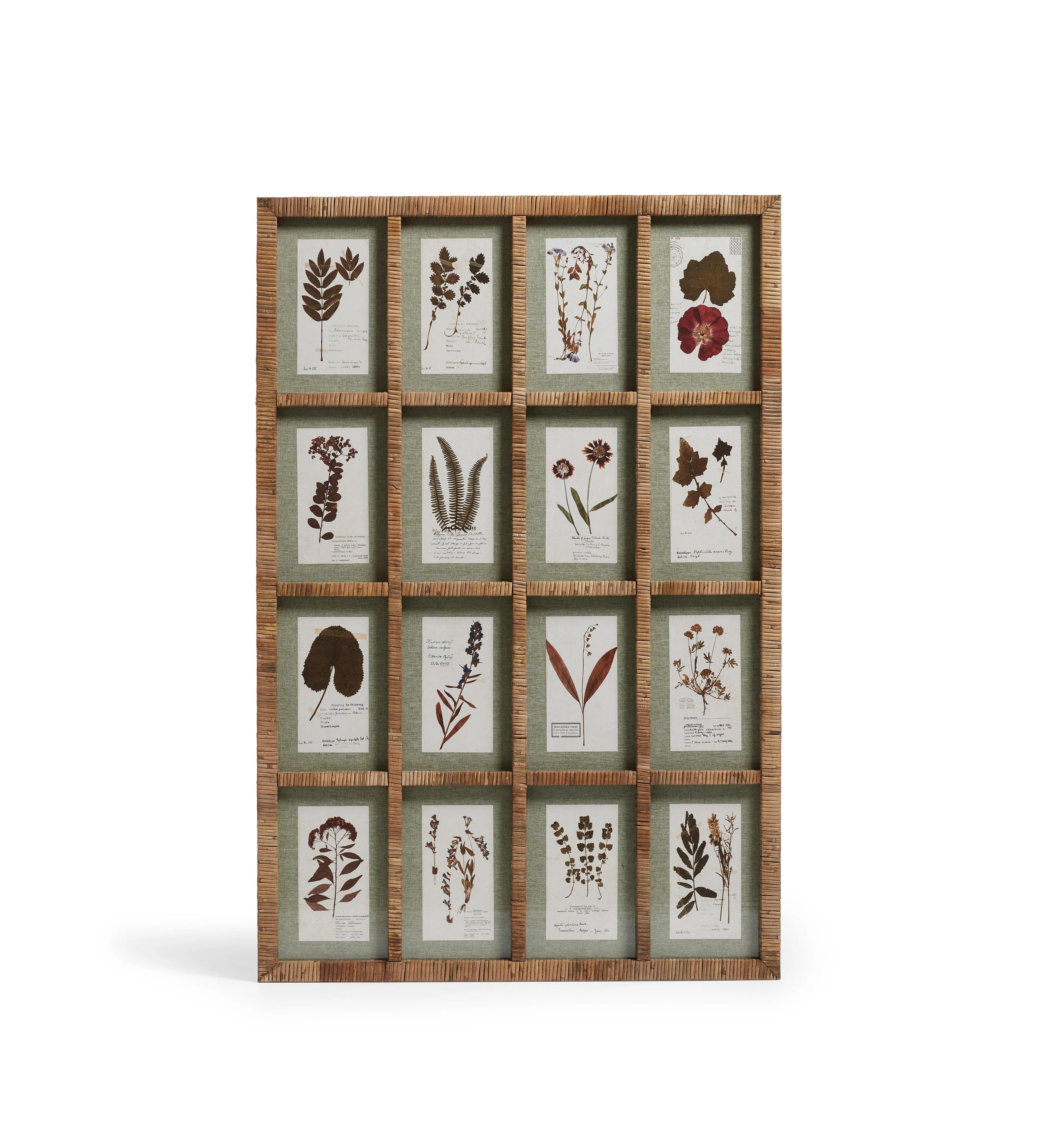 Flores Rattan Framed Floral Prints – Natural