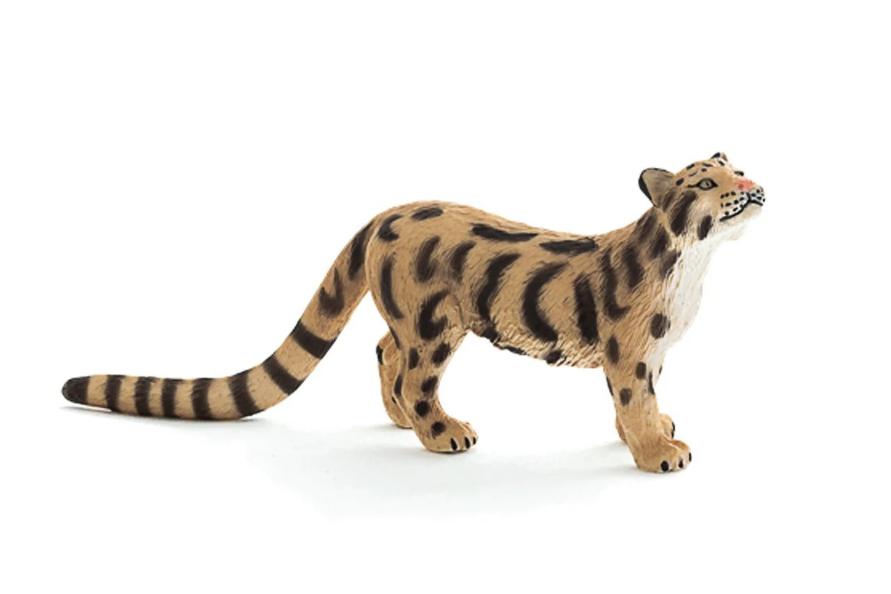 Mojo Clouded Leopard