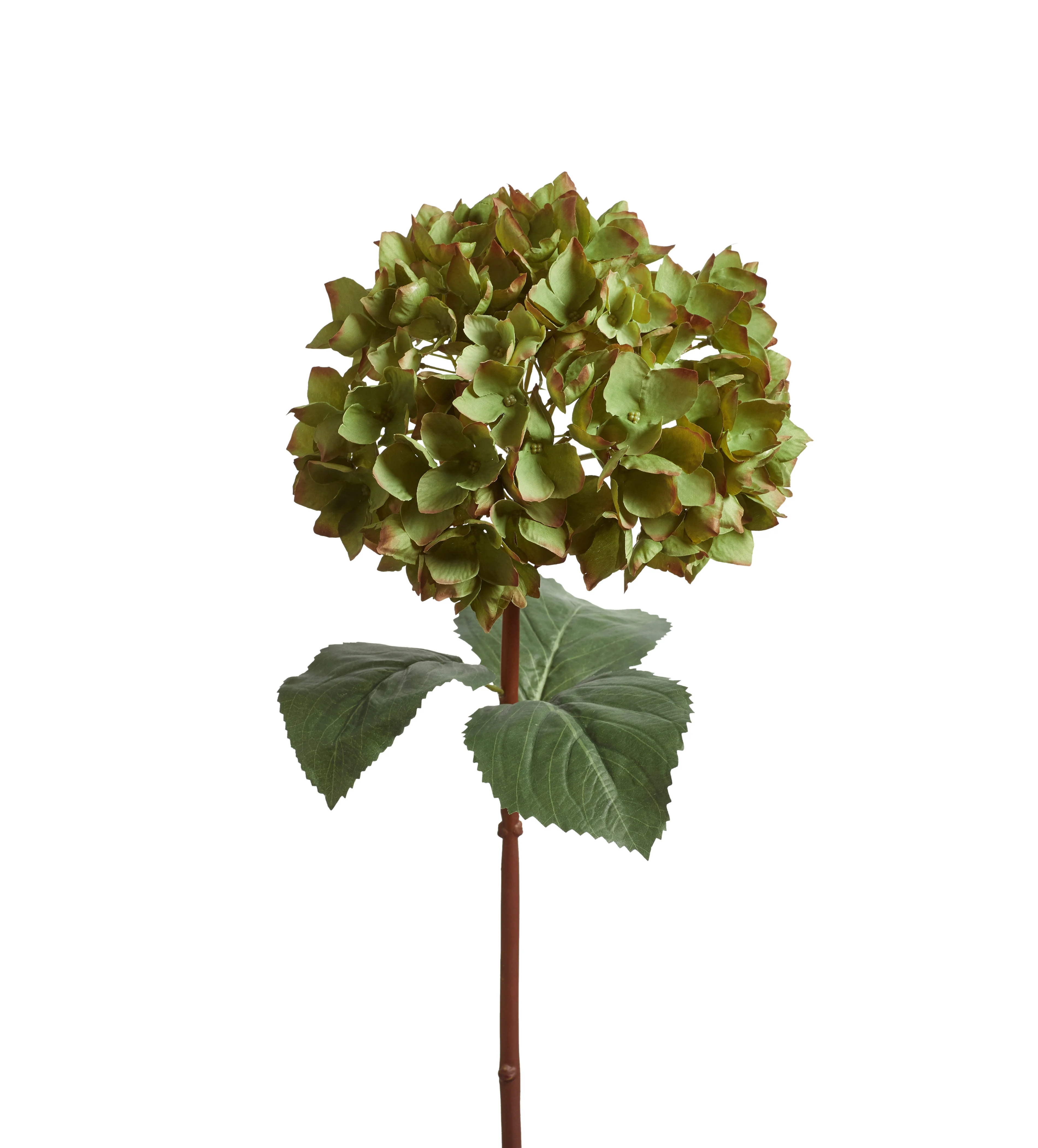 Faux Mophead Hydrangea Stem – Green