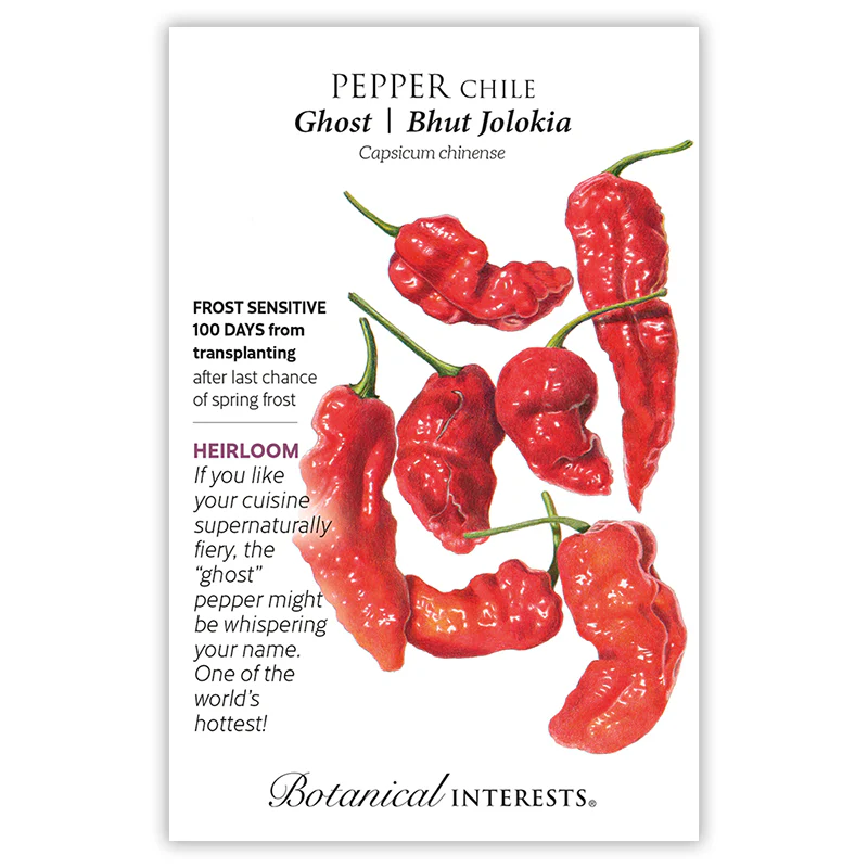 Pepper Chili Ghost Bhut Jolokia BI