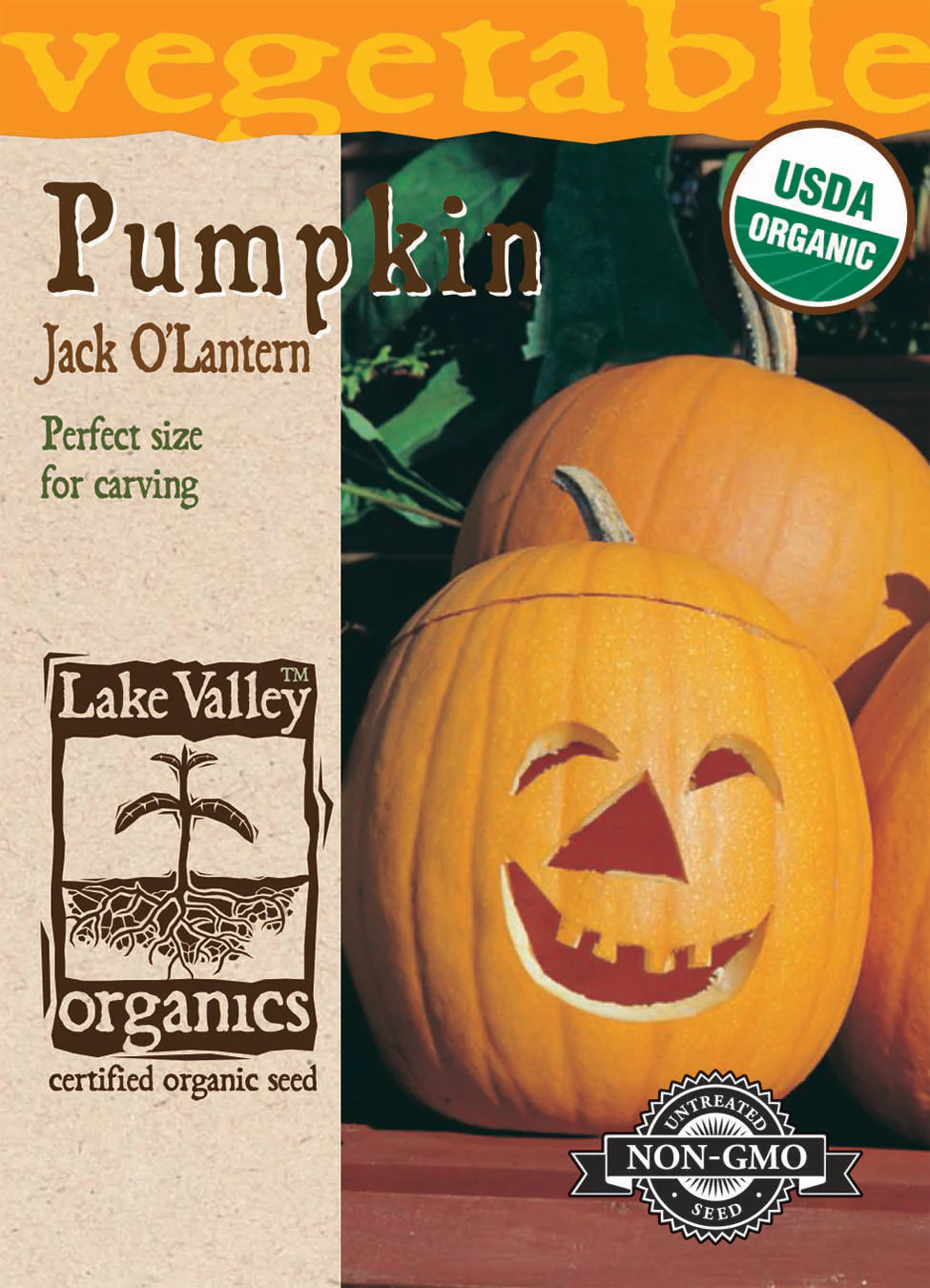 Pumpkin Jack O’lantern Organic LV