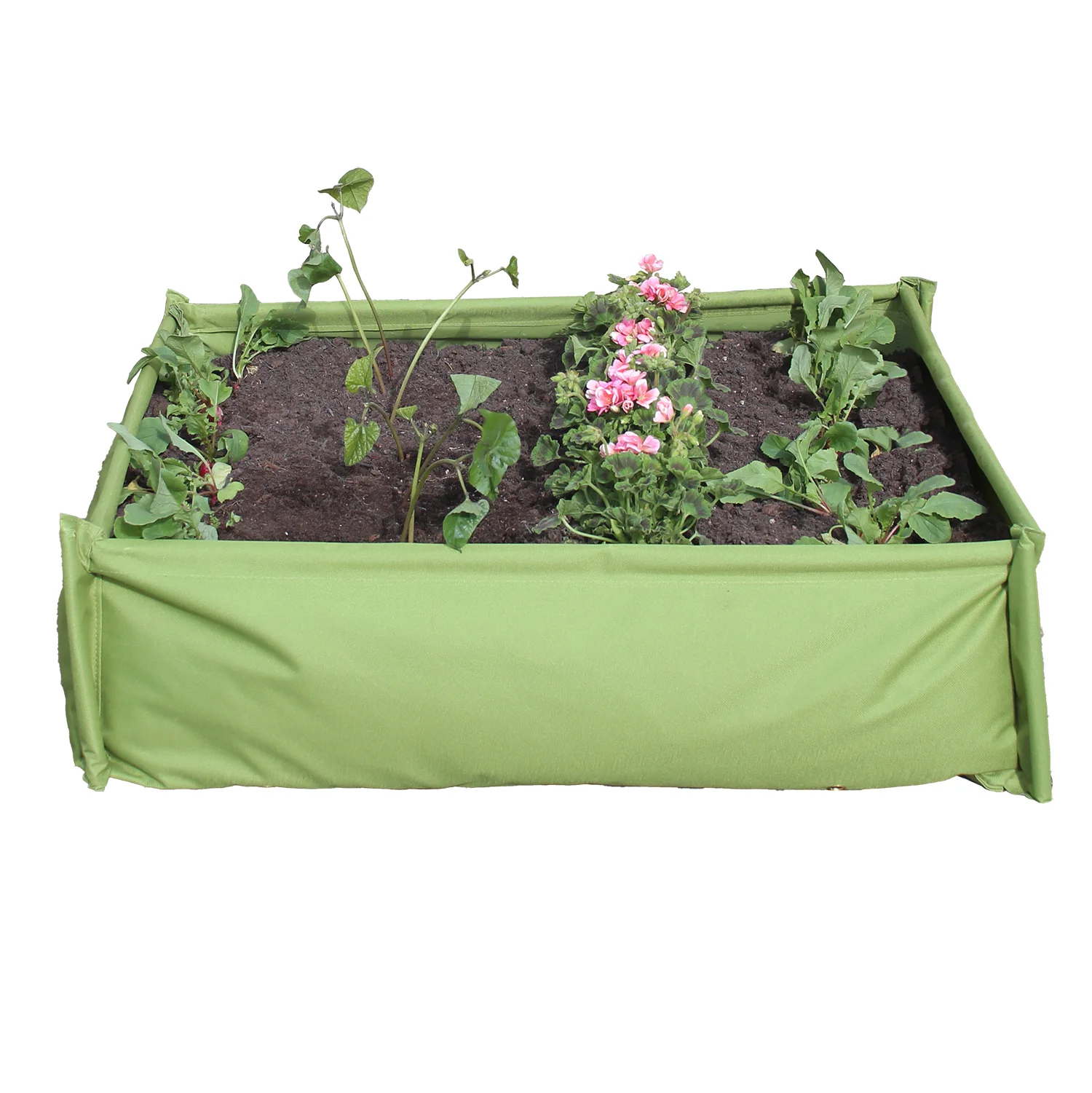 Premium Fabric My First Vegetable / Sandpit