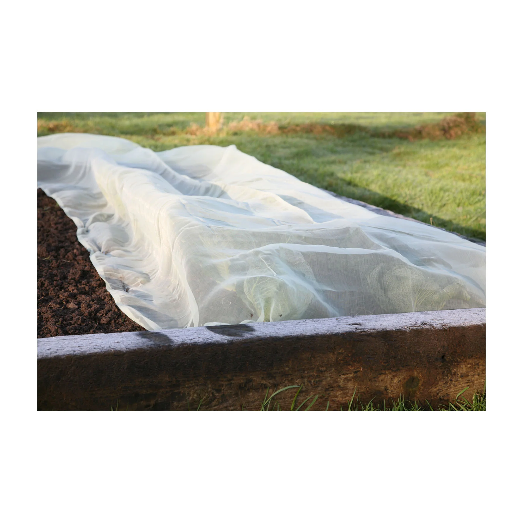 Micromesh Blanket