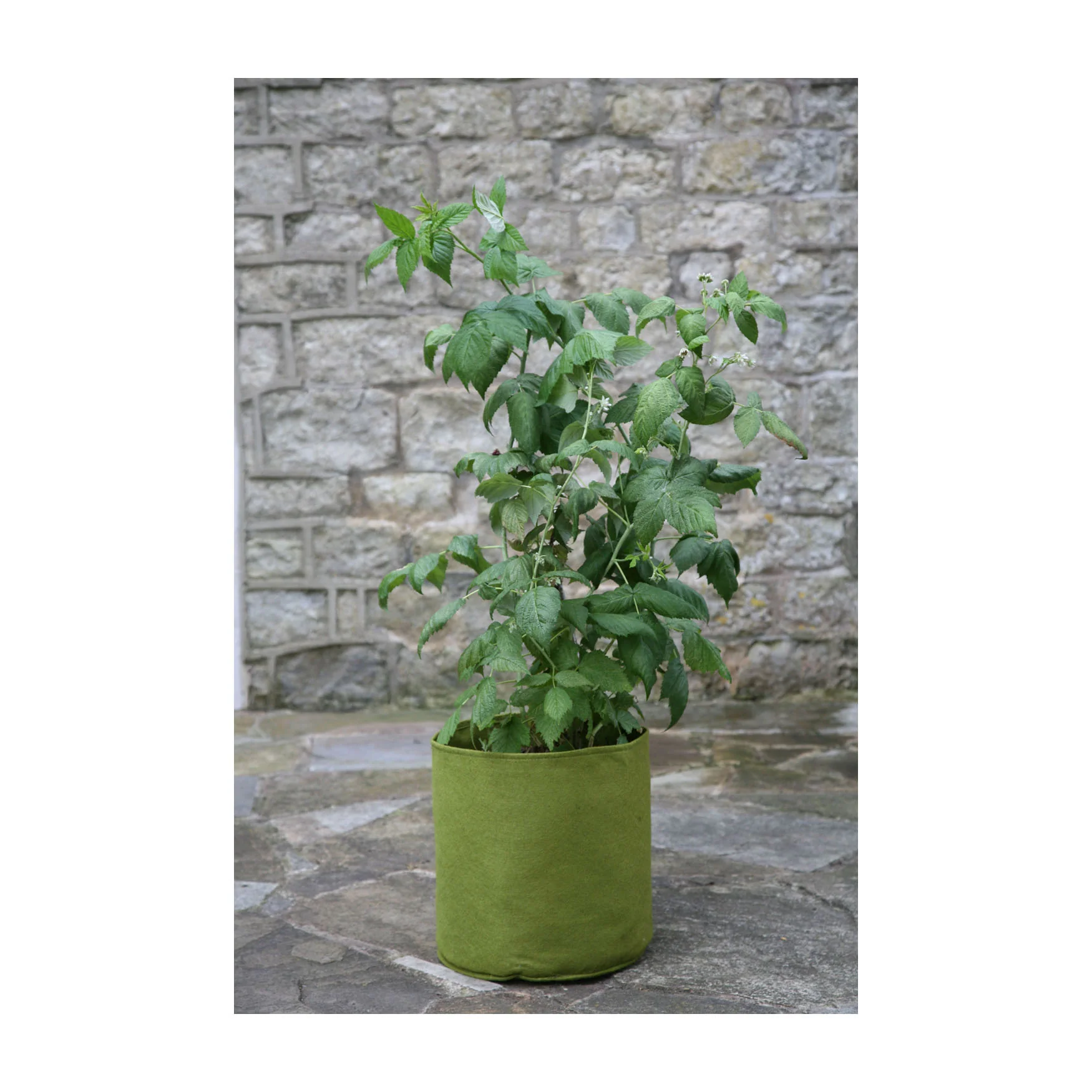 4.0 Gal Vigoroot Pots 3pk