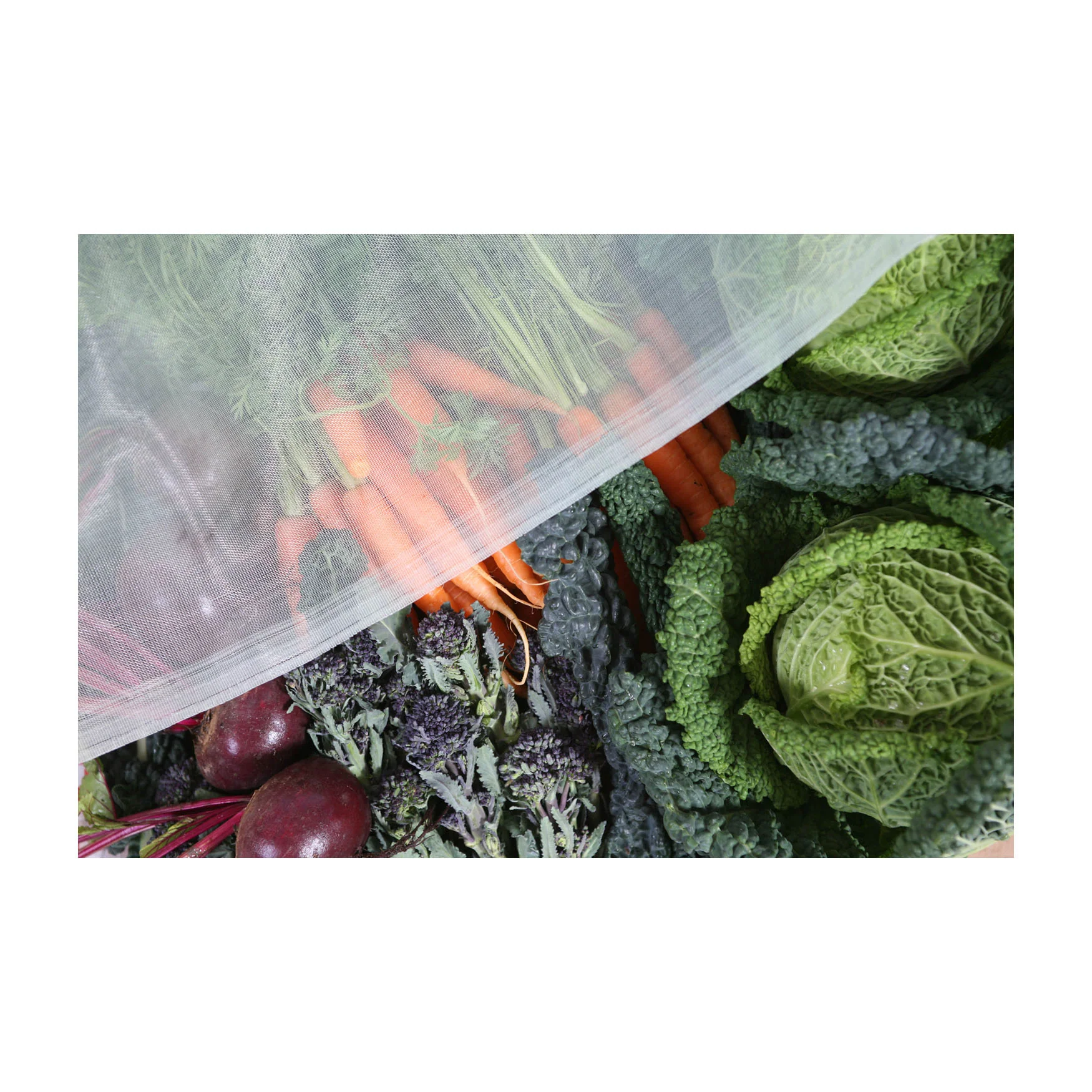 16′ x 16′ Pre-Cut Micromesh Blanket