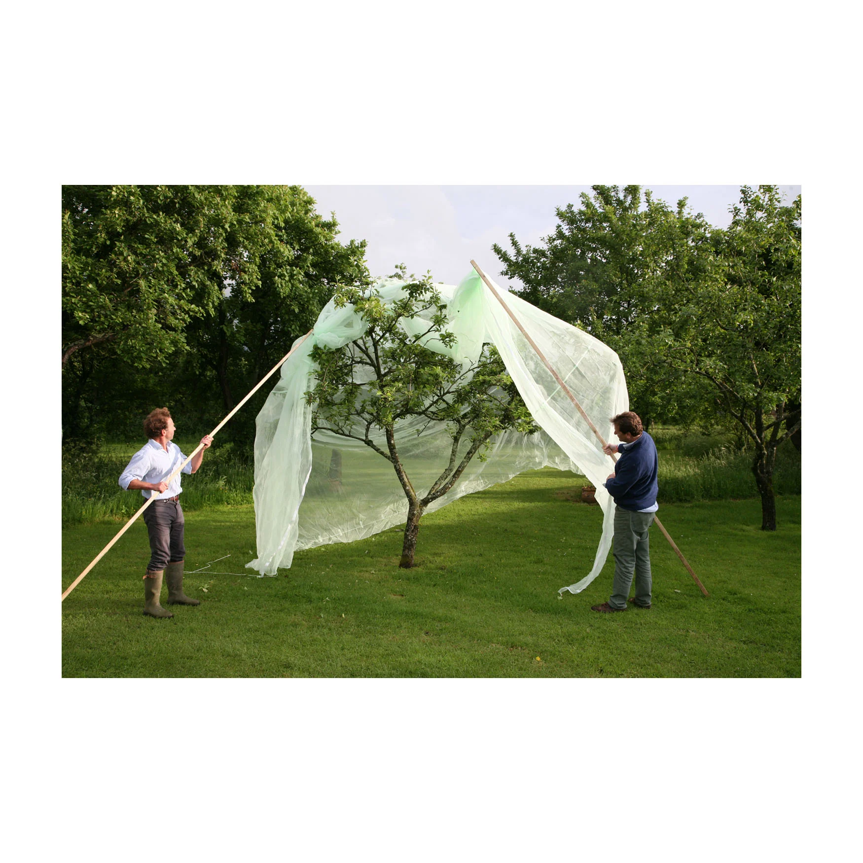 13.1′ x 13.1′ Fruit Tree Cover