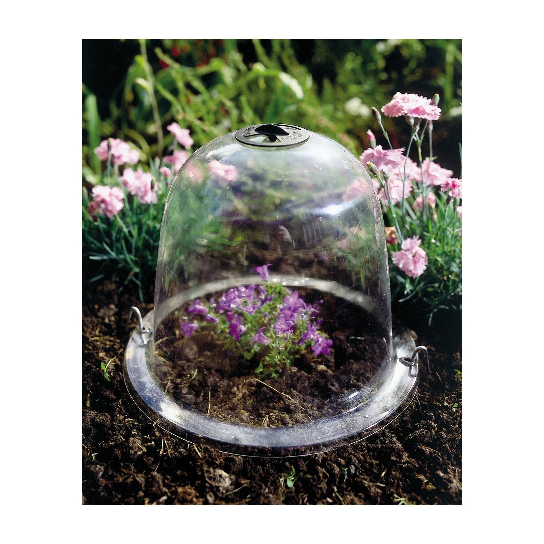 Baby Victorian Bell 3pk