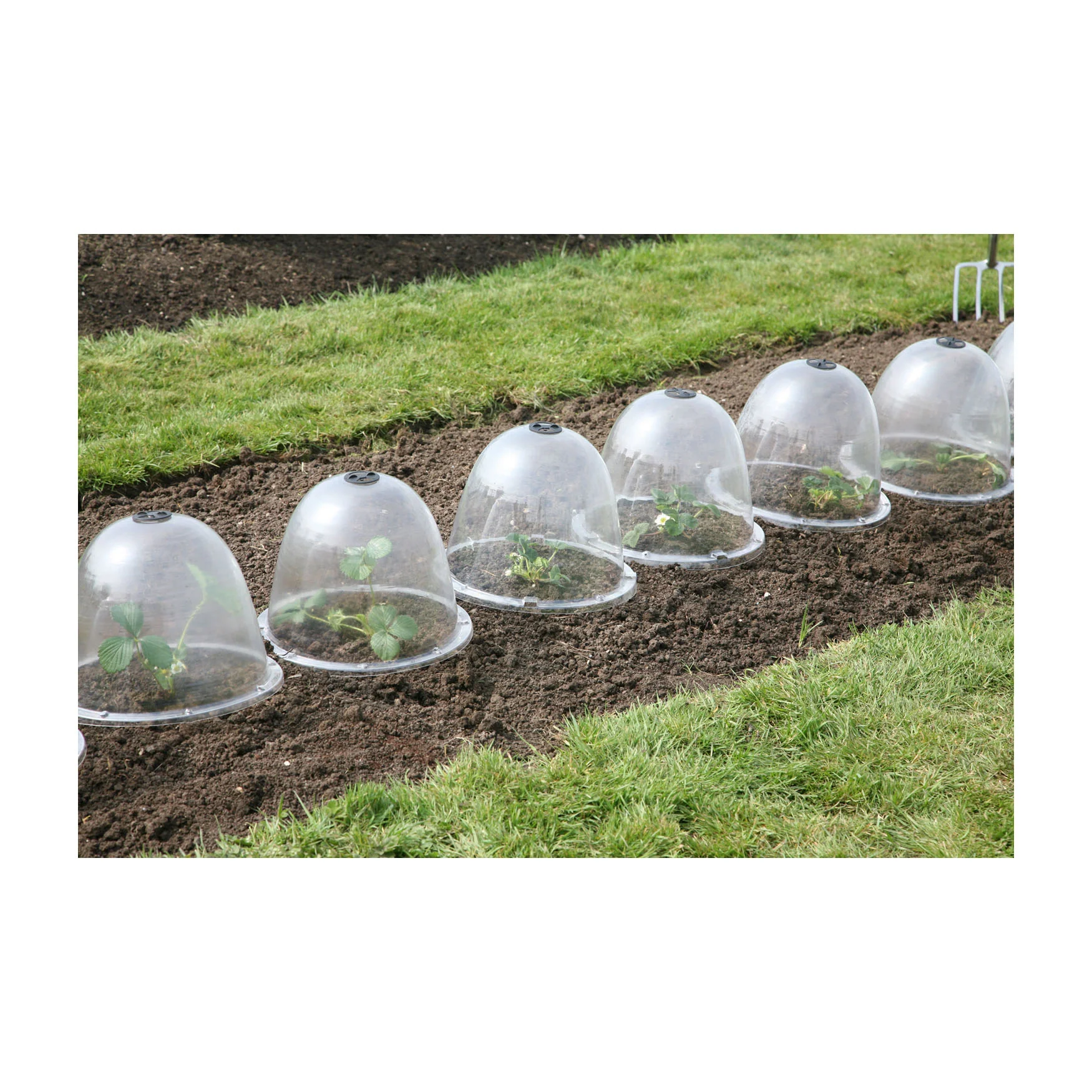 Original Victorian Bell 3pk