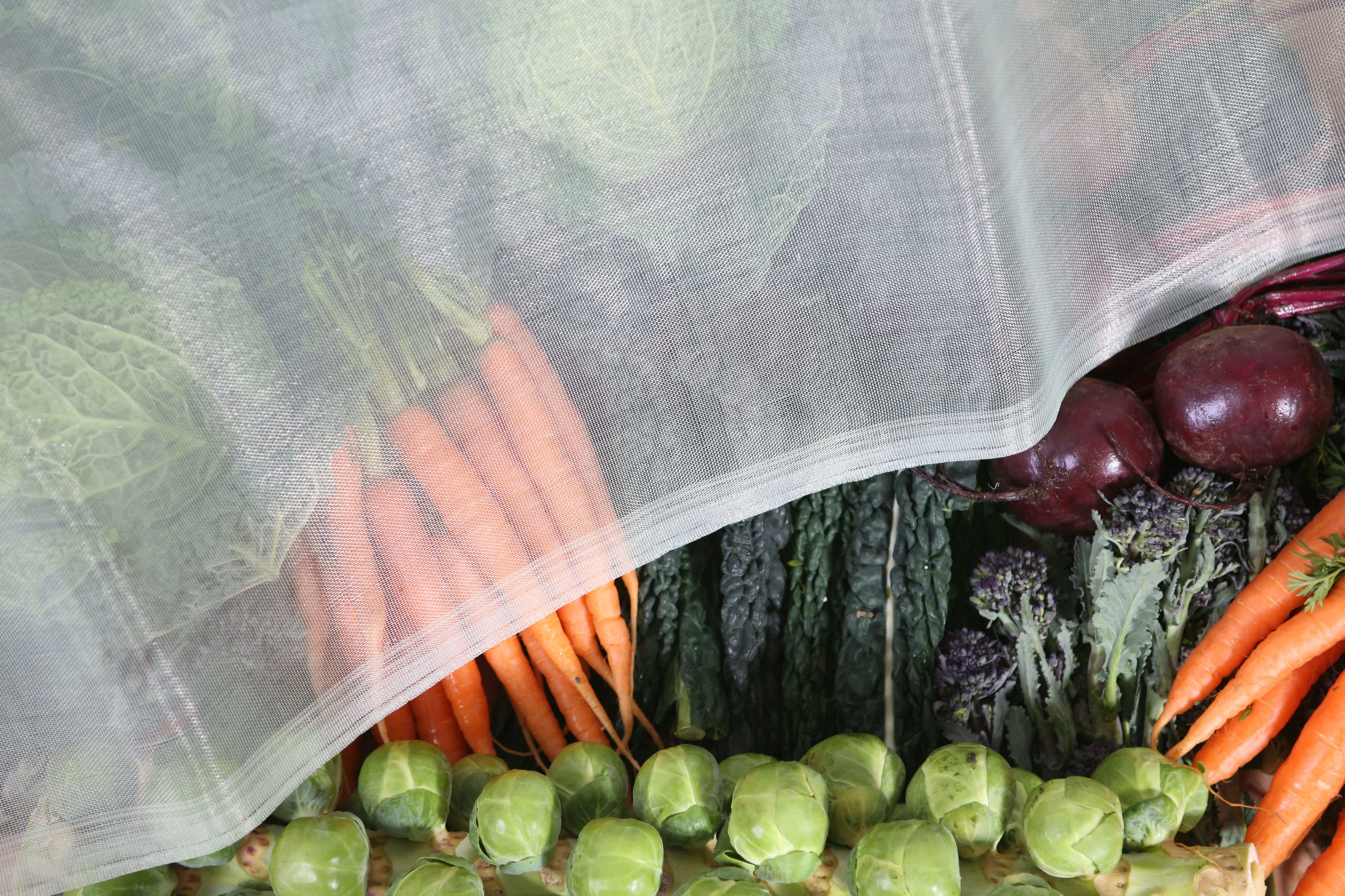 8′ x 8′ Pre-Cut Micromesh Blanket