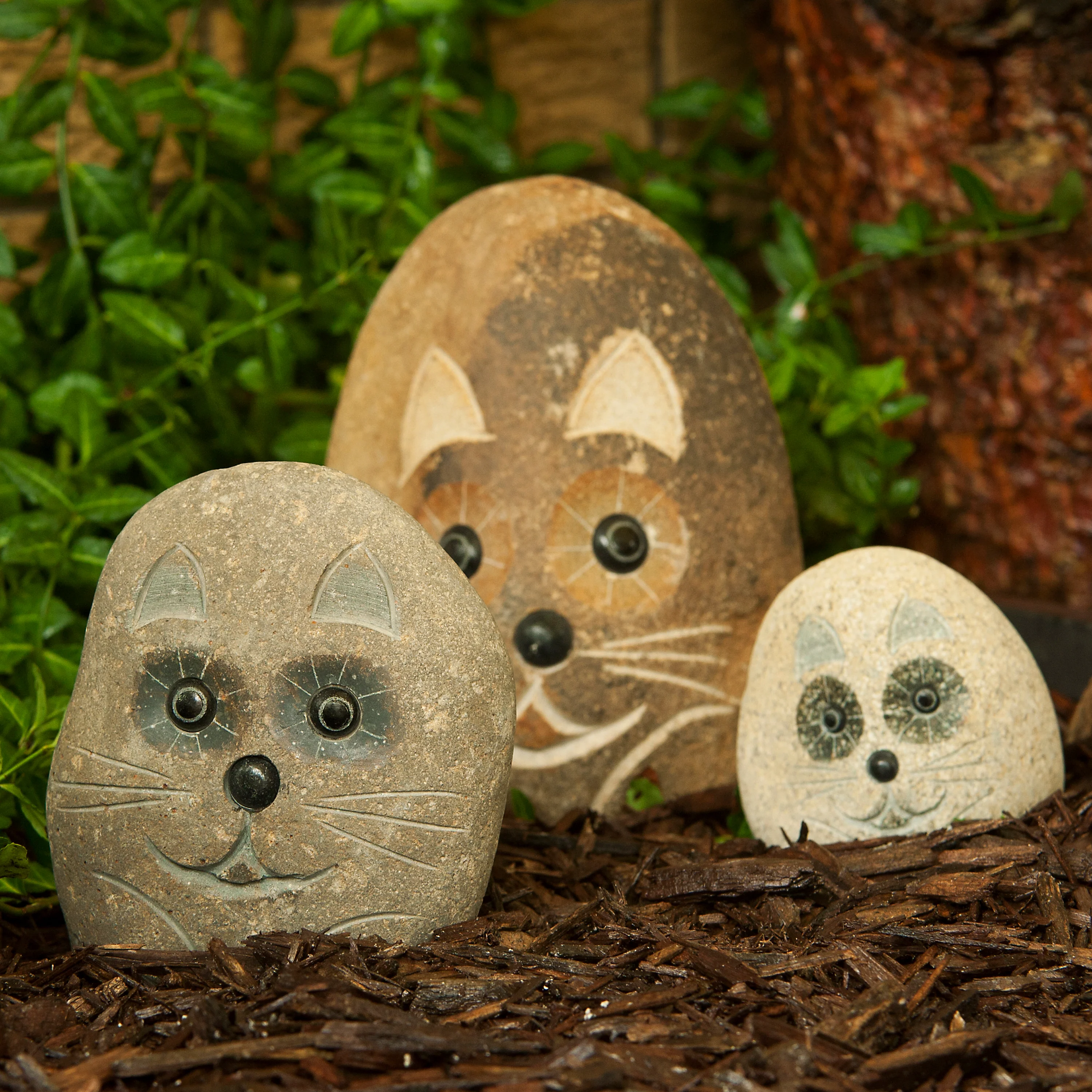 Family of Boulder Cats 3 Pcs 4″6″8″