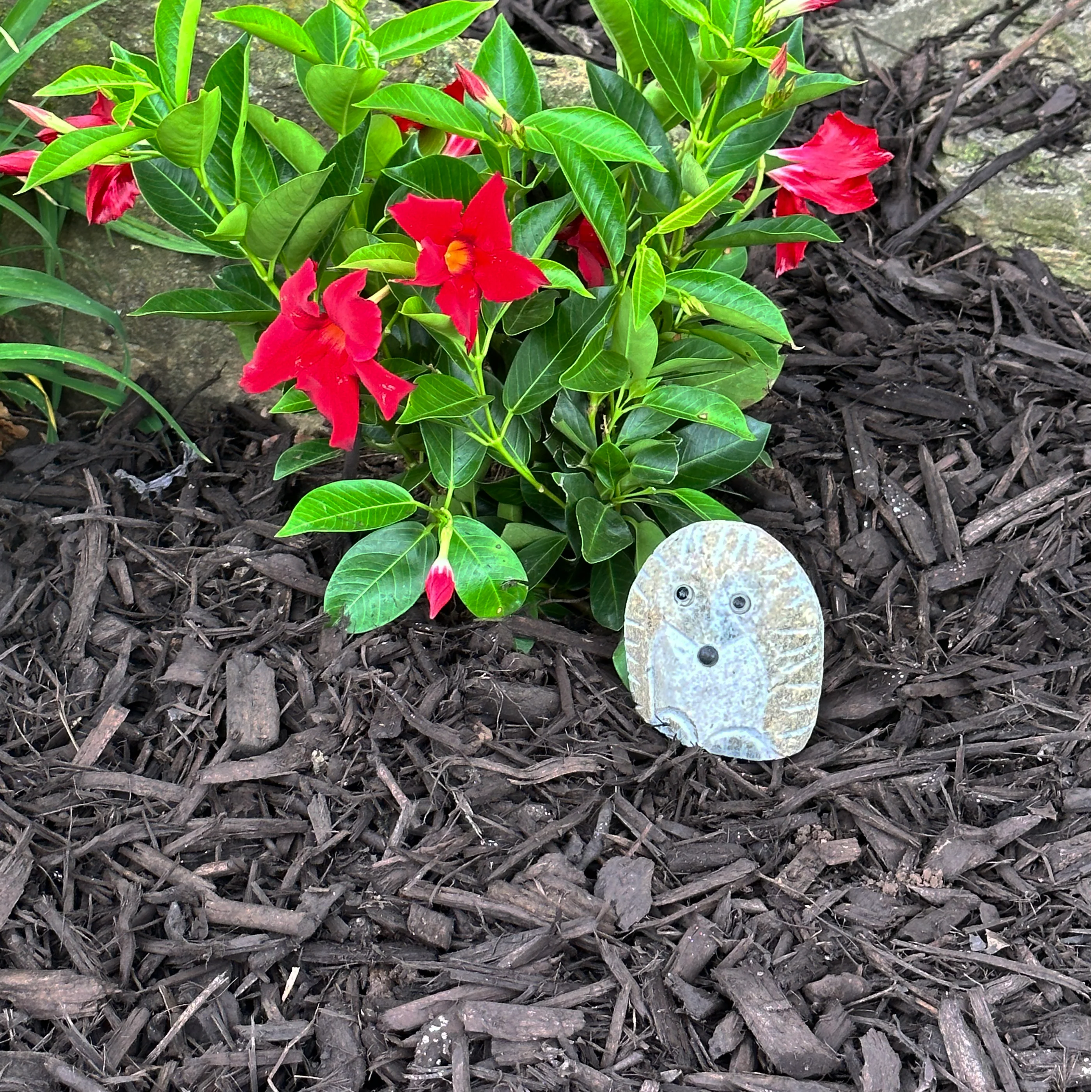 4″ Boulder Standing Hedgehog