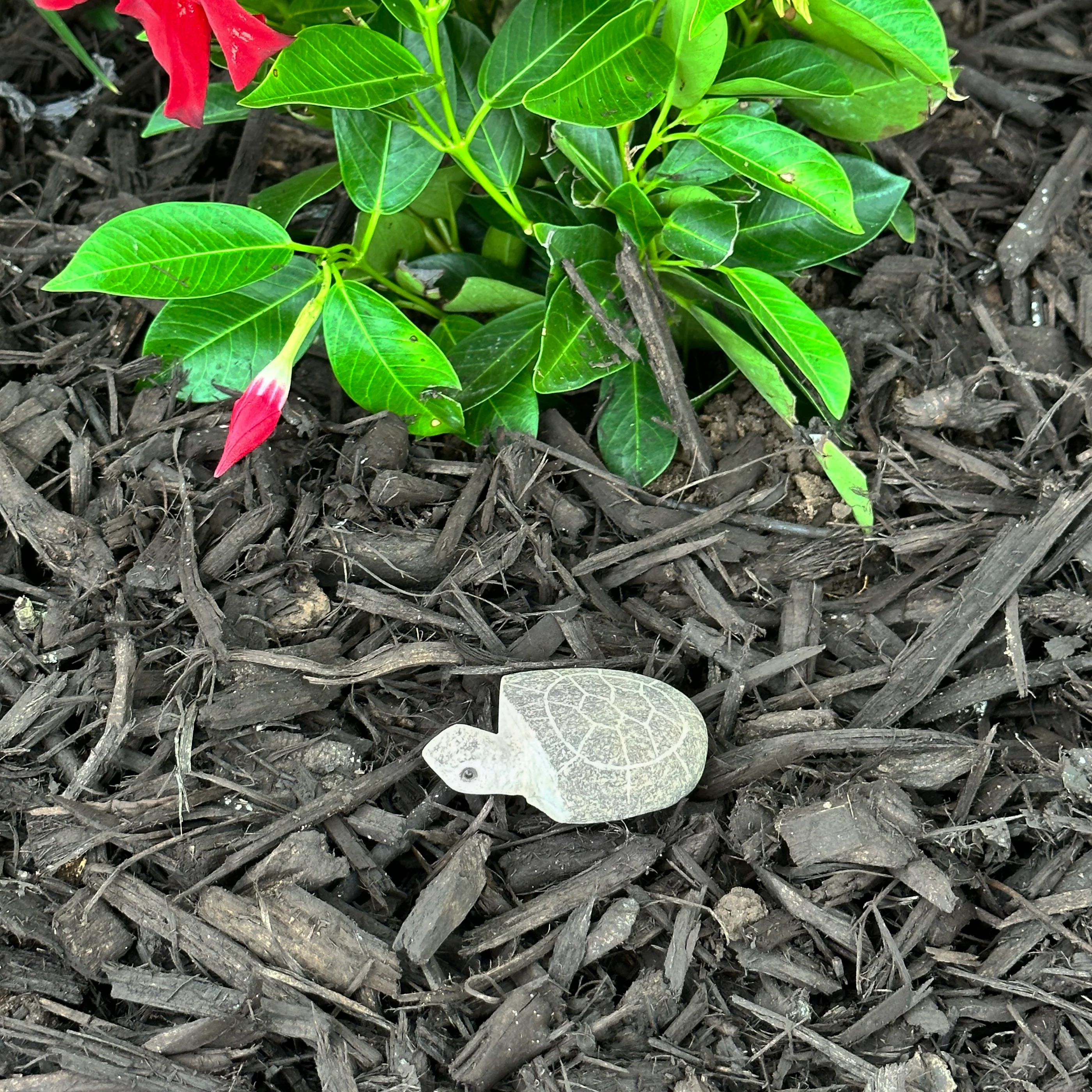2″ Boulder Turtle