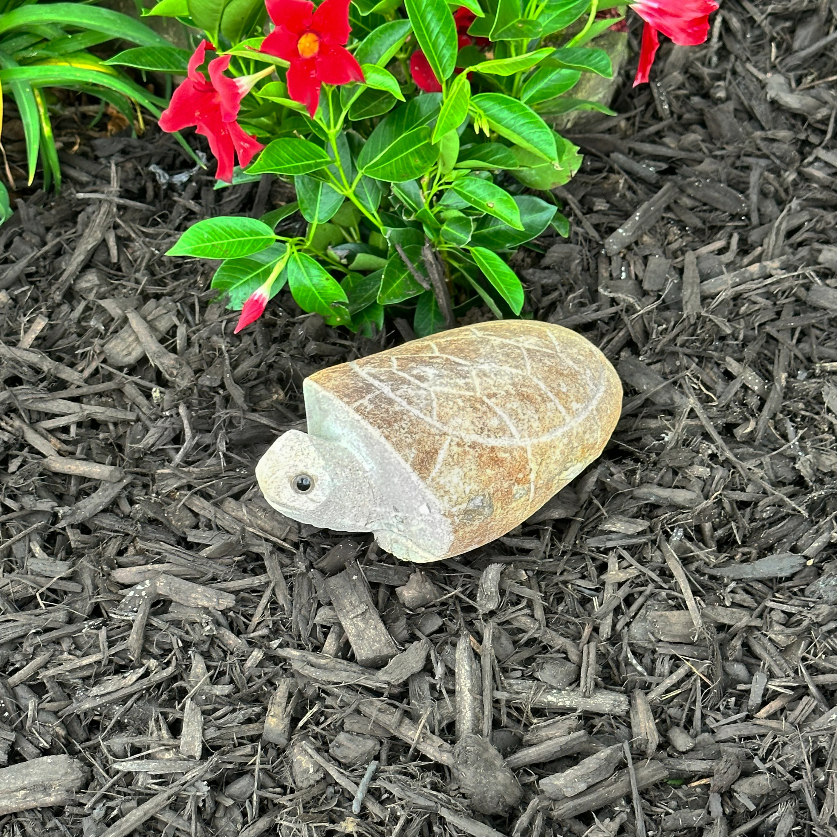 6″ Boulder Turtle