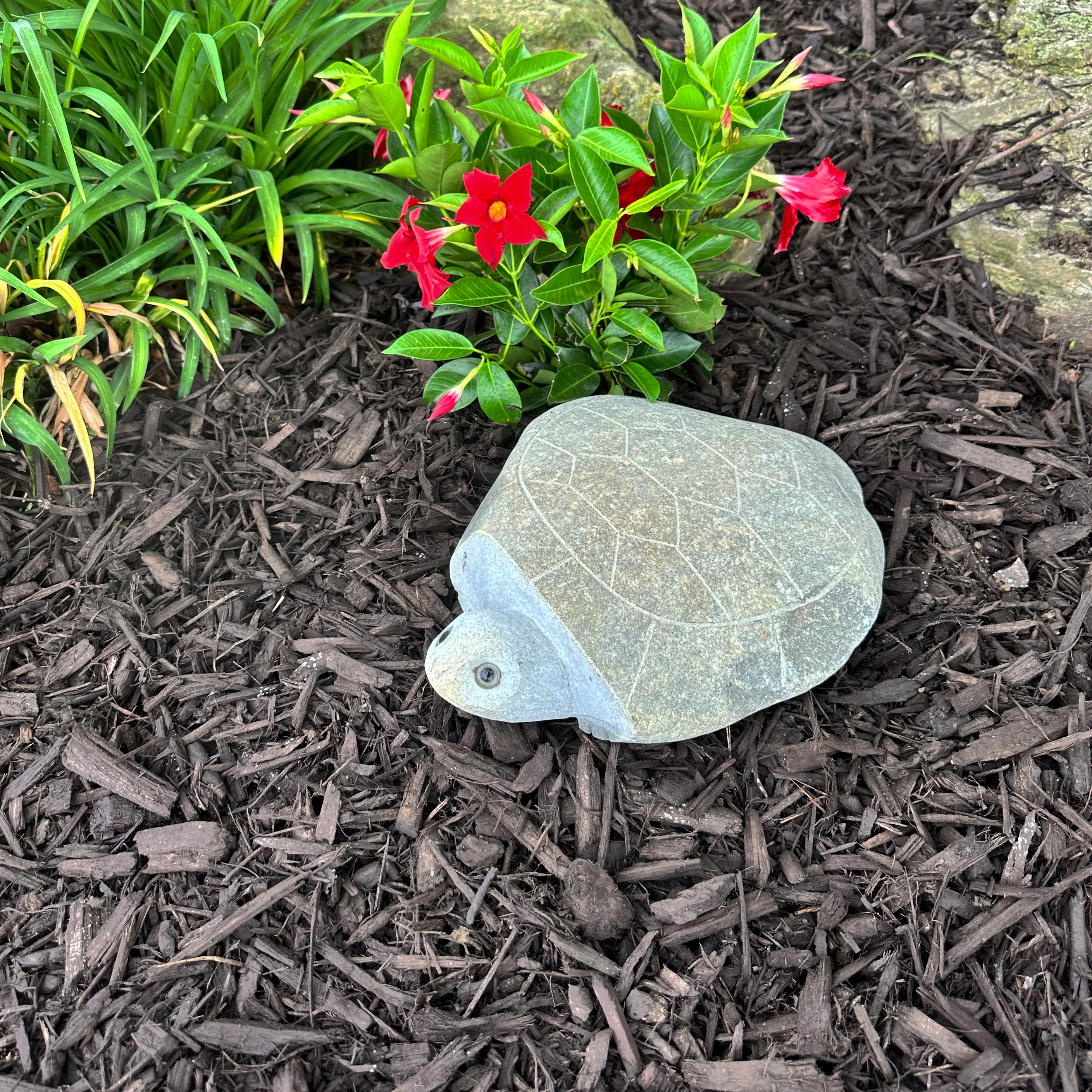 10″ Boulder Turtle