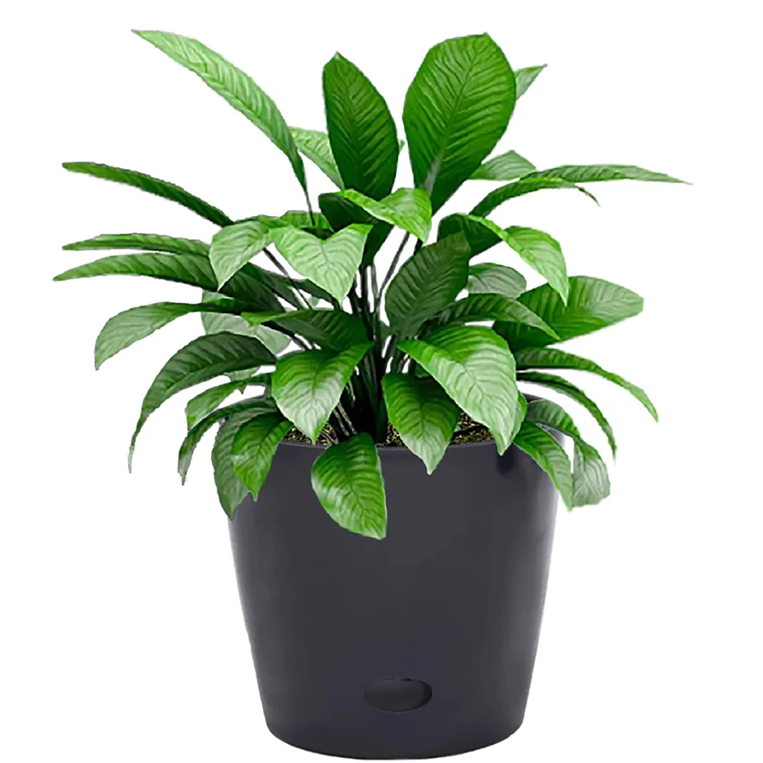 7″ Black Round Self-Watering Bamboo Pot