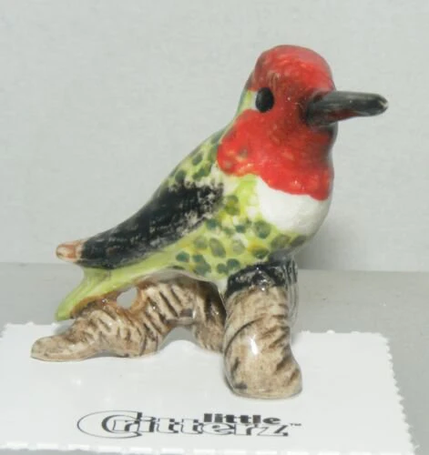 Little Critterz “Anna” Anna’s Hummingbird