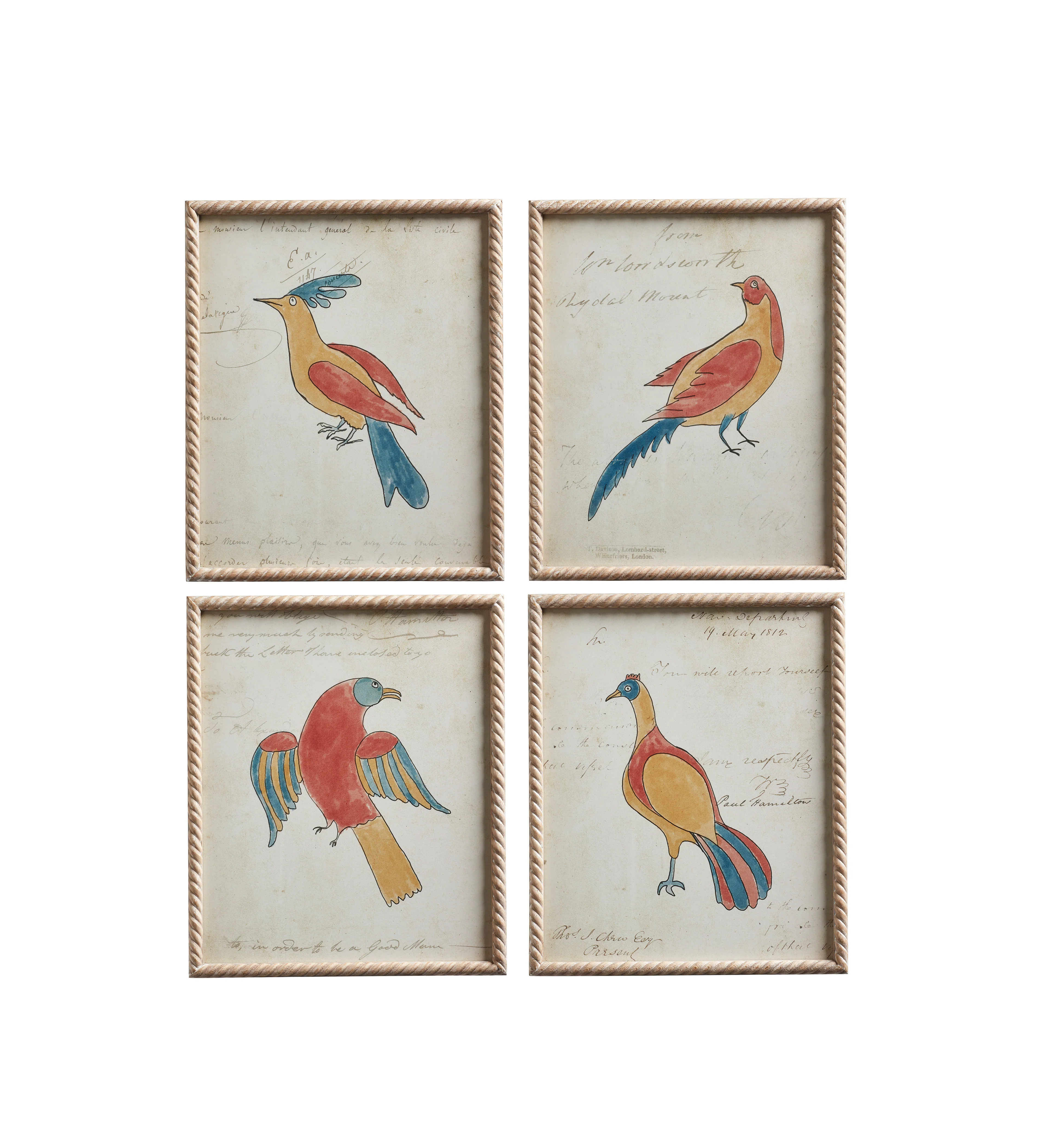 Framed Carara Bird Prints – Set of Four – Multi