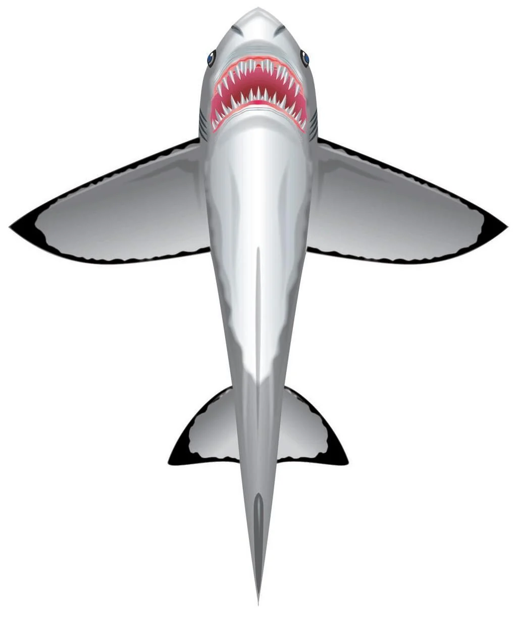 Wind n Sun SeaLife Great White Shark Ripstop Nylon Kite-60 Inches Tall
