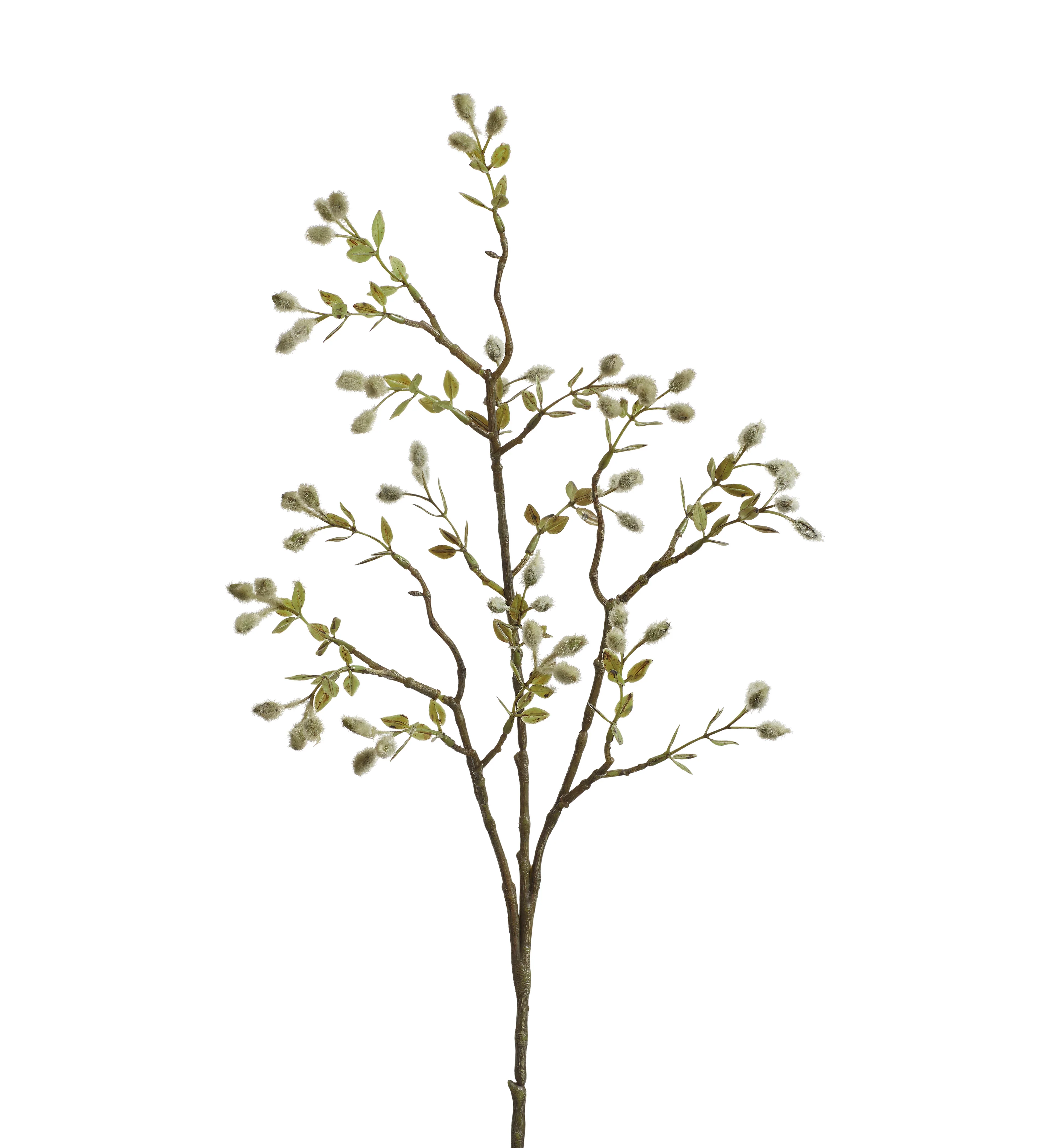 Single Willow Stem – Green