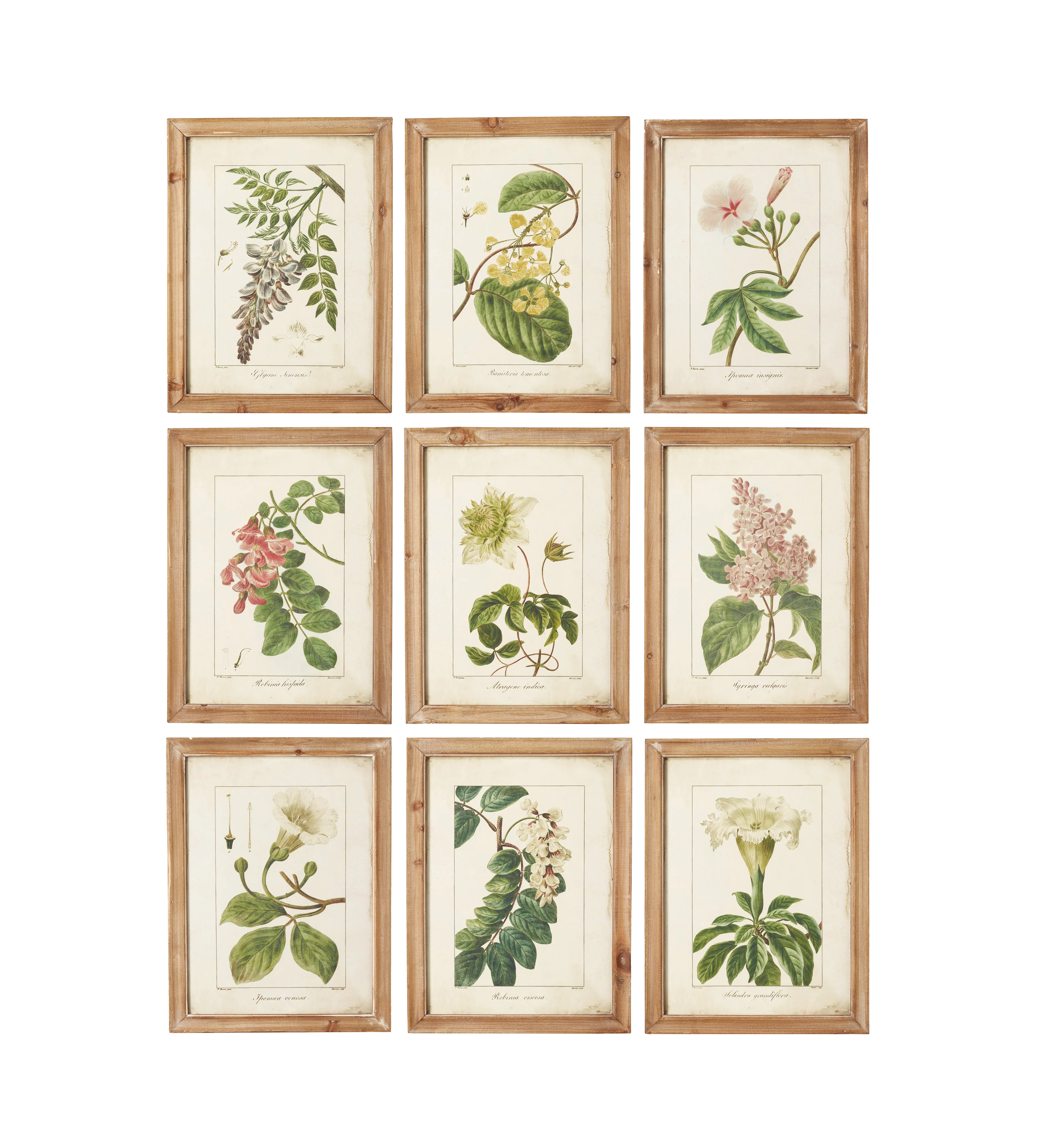 Summer Garden Framed Prints – Set of Nine – Brown